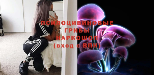 амф Чекалин