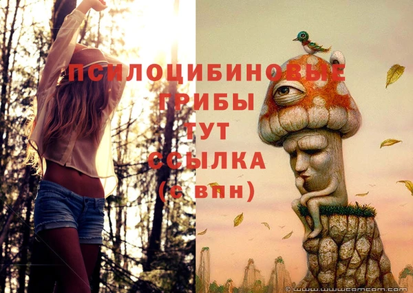 прущие крисы Чегем