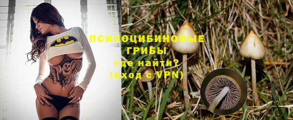 шишки Шадринск