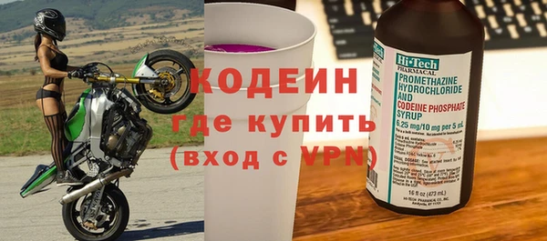 шишки Шадринск