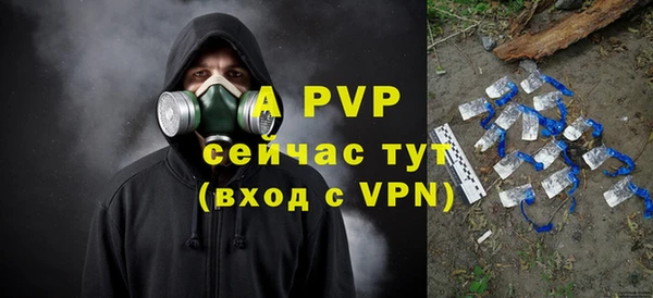прущие крисы Чегем