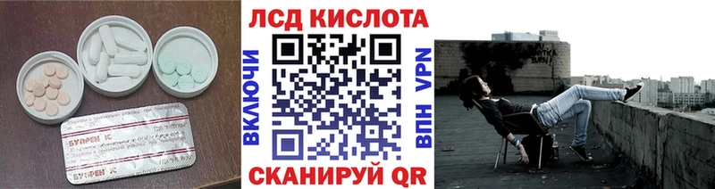LSD-25 экстази ecstasy  Купить  Новоузенск 